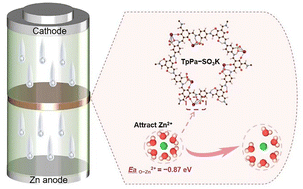 Graphical abstract: A COF-decorated nanocellulose separator affording modulated ion transport for advanced Zn metal batteries