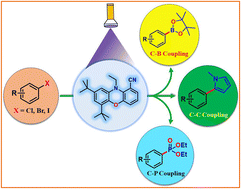 Graphical abstract: A cyano-substituted phenoxazine moiety as an organophotoredox catalyst for C–C, C–B and C–P coupling reactions with aryl halides