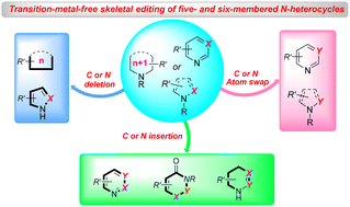 Graphical abstract: Transition-metal-free skeletal editing of five- and six-membered N-heterocycles