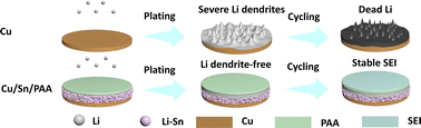 Graphical abstract: Synergistic interaction of electroless-deposited tin and polymer layers for lithium dendrite suppression and extended cycle life