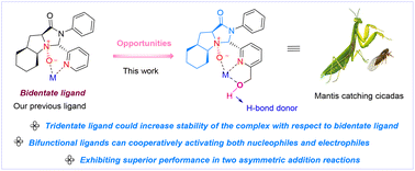 Graphical abstract: Mantis-shaped bifunctional tridentate HoMPy-PI-NO ligands capable of cooperatively activating nucleophiles and electrophiles: empowering asymmetric addition reactions