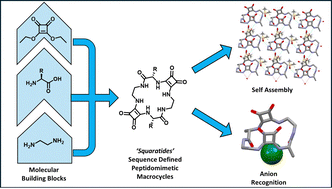 Graphical abstract: Squaratides: a tunable platform for anion binding in peptide-inspired macrocycles