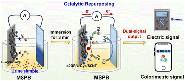 Graphical abstract: A multiplexed self-powered biosensor for ultrasensitive on-site detection of trace cisplatin via catalytic repurposing