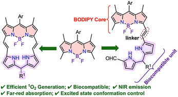 Graphical abstract: meso-Substitution controlled synthesis of BODIPY-DPM conjugates: a pathway to tailored photophysical properties