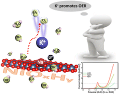 Graphical abstract: Understanding alkali cation regulation of oxygen evolution on nickel (oxy)hydroxide