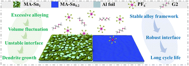 Graphical abstract: Balancing sodiophilicity and mechanical stability: Sn-engineered multicomponent alloy interfaces for anode-free sodium metal batteries