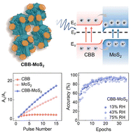 Graphical abstract: Achieving ultrahigh synaptic potentiation with a two-terminal device based on a solution processed Cs3Bi2Br9–MoS2 hybrid