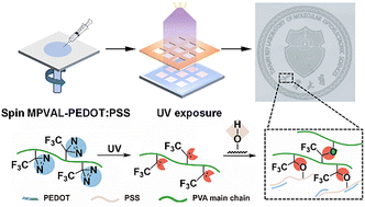 Graphical abstract: Photo-crosslinkable diazirine additives for direct photolithography of PEDOT:PSS