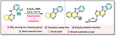 Graphical abstract: K2S2O8-enabled one-pot deaminative C–N bond formation for the synthesis of fused benzimidazopurines and benzimidazo-quinazolines