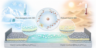 Graphical abstract: A minimal hybrid-chain ether electrolyte enables wide-temperature sodium-ion storage