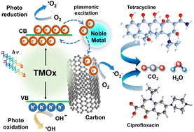 Graphical abstract: Noble metal–TMO–carbon hybrid catalysts for solar-driven antibiotic detoxification in wastewater