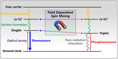 Graphical abstract: Excited-state magneto-optical effects in organic semiconductors