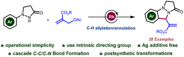 Graphical abstract: Rh-catalyzed C–H allylation and annulation of N-arylpyrazolidinones with MBH adducts