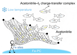 Graphical abstract: Confining acetonitrile–I2 complexes via Fe single-atom sites for rapid and reversible iodine redox kinetics at −40 °C
