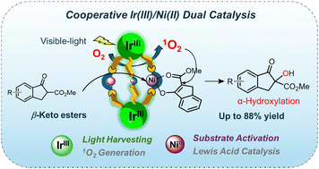 Graphical abstract: Cooperative Ir(iii)/Ni(ii) catalysis in a photoactive molecular amine cage for visible-light-induced aerobic α-hydroxylation of β-keto esters