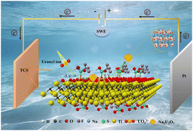 Graphical abstract: One-step etching–functionalization of MXene with preserved structural integrity for ultrahigh uranium extraction
