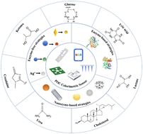 Graphical abstract: Recent advances in point-of-care colorimetric biosensors for detecting small molecule metabolites