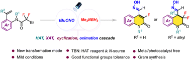 Graphical abstract: Carbocyclization-oximation of alkenes via boryl radical-mediated halogen atom transfer to access fluorinated 4-(carbaldehyde oxime)quinolinones