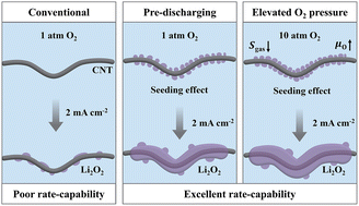 Graphical abstract: A seeding strategy enables catalyst-free high-rate lithium–oxygen batteries