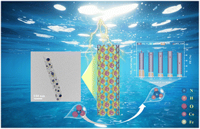 Graphical abstract: CoFe alloy nanoparticles embedded in carbon nanofibers for efficient synthesis of ammonia from nitrate reduction