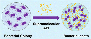 Graphical abstract: Active pharmaceutical ingredient–incorporated supramolecular materials as antibacterial agents