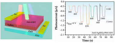 Graphical abstract: A PbS quantum dot film as a hole transport layer for self-powered AgBiS2 nanocrystal photodetectors