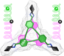 Graphical abstract: Narcissistic assembly of homochiral covalent organic cages with dehydrobenzo[12]annulene (DBA) panels