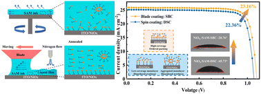 Graphical abstract: Solution-shearing strategy for improved anchoring of self-assembled monolayers in inverted perovskite solar cells