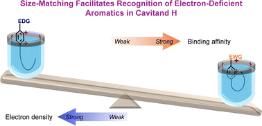 Graphical abstract: Size-matching overrides the electronic preference of cation-π interactions in a deep cavitand
