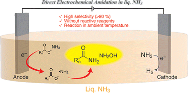 Graphical abstract: Direct electrochemical amidation of fatty acids with ammonia in liquefied ammonia