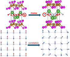 Graphical abstract: Dynamic correlation suppresses antiferromagnetism in heavily doped Fe-pnictide superconductor LaFeAsO1−xFx