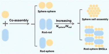 Graphical abstract: Pathway-engineered Co-assembly of nanorod–nanosphere binary superlattices