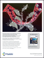 Graphical abstract: Back cover