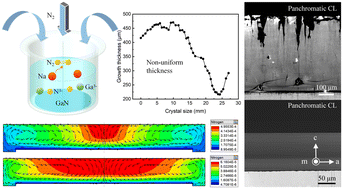 Graphical abstract: Study on the influence of the spatial distribution of nitrogen concentration on the uniformity of GaN crystal growth using the Na-flux method