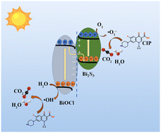 Graphical abstract: Construction of a three-dimensional flower-like Bi2S3/BiOCl S-scheme heterojunction and its efficient photocatalytic degradation of ciprofloxacin
