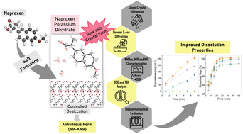 Graphical abstract: A novel naproxen potassium dihydrate: single-crystal structure and solid-state characterization of the dihydrate and its anhydrous form with improved dissolution properties