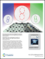 Graphical abstract: Back cover