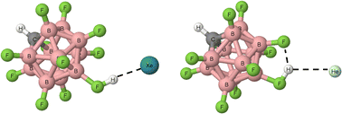 Graphical abstract: Hydrogen bonds in complexes of noble gases with H(CHB11F11) carborane acid – DFT calculations