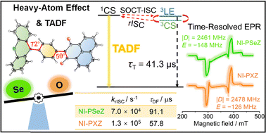 Graphical abstract: The effect of heavy atoms on the thermally activated delayed fluorescence properties of naphthalimide–phenoselenazine electron donor–acceptor dyads: electron transfer and intersystem crossing
