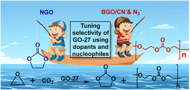 Graphical abstract: Tuning graphene oxide selectivity under normal reaction conditions using dopants and nucleophiles towards cyclic or polycarbonate formation: A DFT study