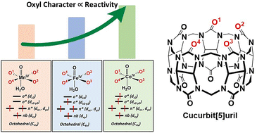 Graphical abstract: Stabilising high-spin, high-valent transition-metal–oxo species in cucurbit[5]uril: correlating structure, spin state, and reactivity