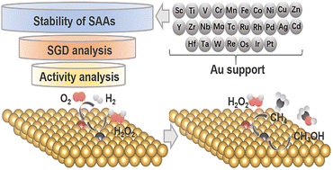 Graphical abstract: Design of multi-site single-atom alloy catalysts for tandem CH4 conversion