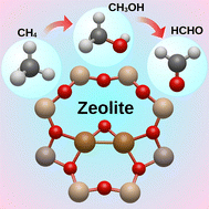 Graphical abstract: Mechanistic insights into the stepwise oxidation of methane to methanol and formaldehyde over Cu-exchanged SSZ-13