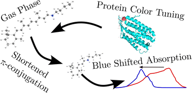 Graphical abstract: Spectroscopy of cryogenic protonated Schiff-base retinal derivatives