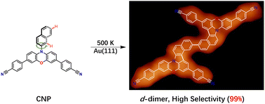 Graphical abstract: Selective aryl C–H activation governed by molecular nonplanar conformation on Au(111)