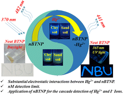 Graphical abstract: Self-assembly behavior of a phenanthroimidazole- and naphthalene-pendant photoluminescent ionic liquid and its application for cascade detection of Hg2+ and I− ions