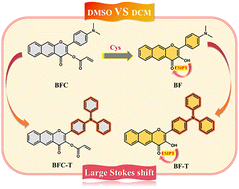 Graphical abstract: Probing cysteine recognition by flavonoid probes: effects of triphenylamine substitution and DMSO/DCM solvents