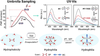 Graphical abstract: Thermodynamic selectivity and kinetic control in the encapsulation of spiropyran derivatives by cucurbit[8]uril