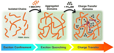 Graphical abstract: Influence of blend composition on morphology and exciton-charge dynamics in MEH-PPV: PMMA thin films