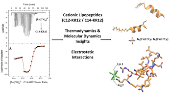 Graphical abstract: Electrostatically-driven assembly of cationic lipopeptides with hexacyanoferrate anions: a thermodynamic and in silico study